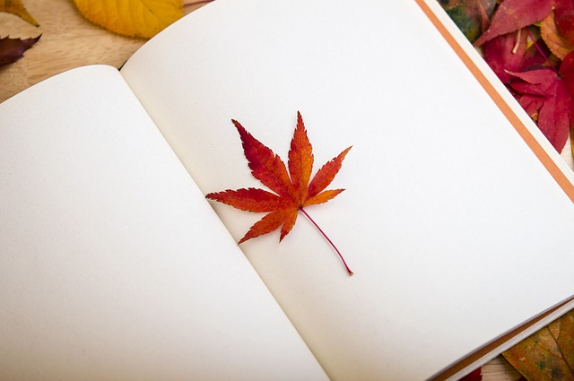 maple-leaf-638022_640